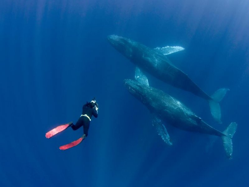 Ocean Film Festival Australia V1